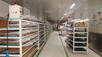 響應(yīng)一帶一路倡議，燈具塑件企業(yè)積極拓展海外市場